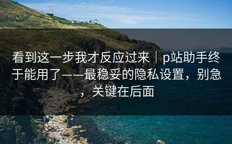看到这一步我才反应过来|p站助手终于能用了——最稳妥的隐私设置,别急,关键在后面 看到这一步我才反应过来|p站助手终于能用了——最稳妥的隐私设置,别急,关键在后面