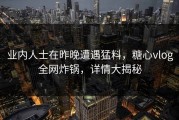 业内人士在昨晚遭遇猛料，糖心vlog全网炸锅，详情大揭秘