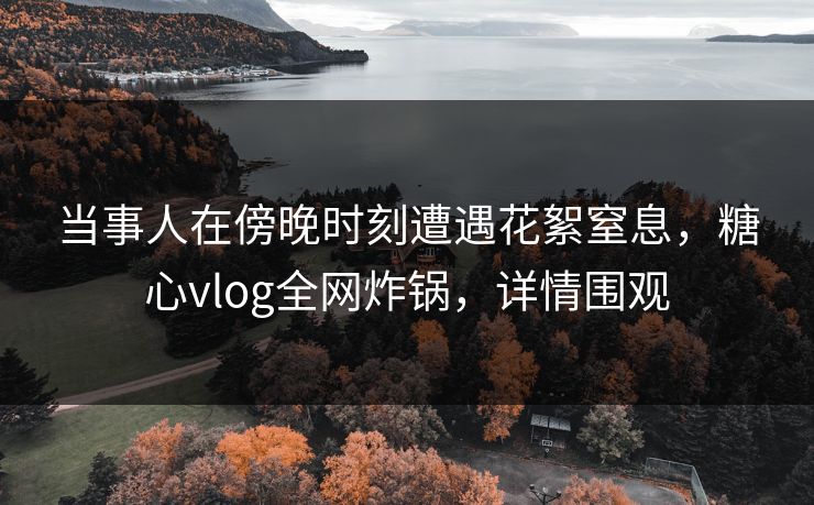当事人在傍晚时刻遭遇花絮窒息,糖心vlog全网炸锅,详情围观 当事人在傍晚时刻遭遇花絮窒息,糖心vlog全网炸锅,详情围观